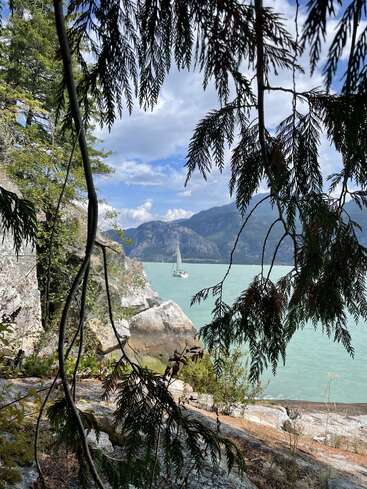 Emoldurado por galhos sempre verdes, um veleiro desliza em águas azul-turquesa. Penhascos rochosos e uma vegetação exuberante cercam o lago sereno, com o apoio de montanhas majestosas e céus nublados.