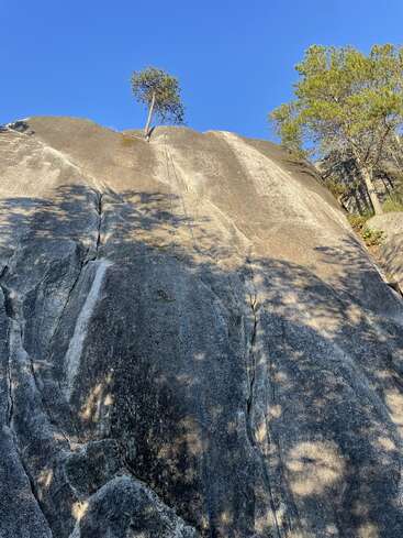 Uma árvore solitária cresce no topo de uma rocha maciça e lisa, com cordas de escalada penduradas. As sombras das árvores próximas cobrem a pedra sob um céu azul claro.