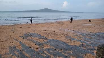 Deux personnes et un chien se promènent sur une plage de sable. La mer est calme, et une île au doux sommet est visible à l'horizon sous un ciel nuageux.