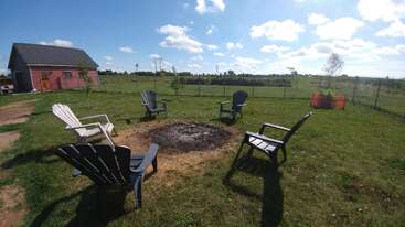 Five Adirondack chairs surround a fire pit on a grassy lawn. There’s a small red shed, a wire fence, trees, and a bright, partly cloudy sky.