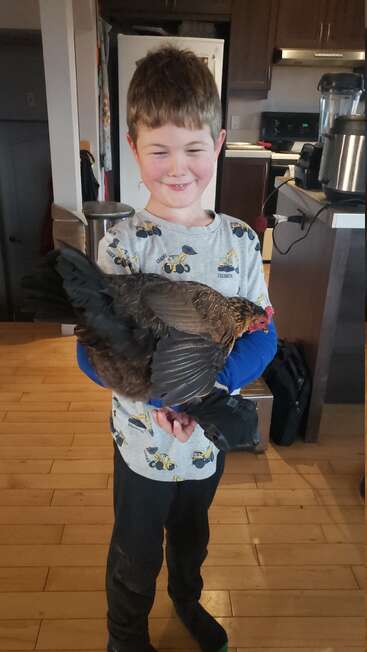 A young boy stands in a kitchen, smiling mischievously while holding a brown chicken. The cozy home background includes wooden floors and various kitchen appliances.