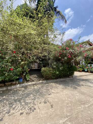 Un día soleado con cielo azul, exuberante vegetación, flores rojas, árboles tropicales, plantas en macetas y un camino de cemento en el exterior de una tranquila zona residencial o jardín.