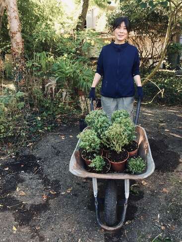 A woman stands behind a wheelbarrow filled with potted plants, wearing gloves and a dark blue top, in a garden setting with trees and bushes.