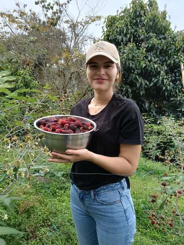 A smiling woman stands outdoors in a berry field, wearing a beige cap, black shirt, and jeans, proudly holding a bowl full of freshly picked berries.