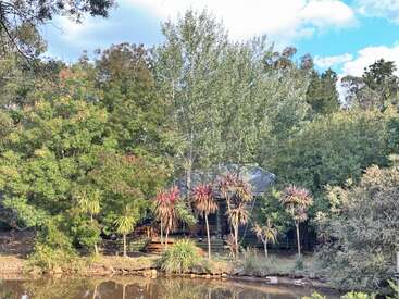 A cozy cabin is nestled among lush green trees and tropical plants, overlooking a calm pond under a bright blue sky with fluffy white clouds.