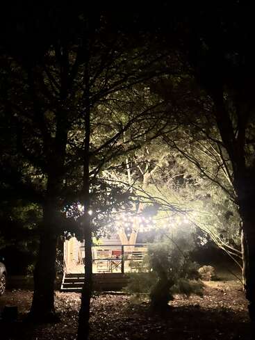 A cozy, warmly-lit cabin is nestled in the woods at night. String lights illuminate a deck, surrounded by tall trees, creating an inviting, enchanting atmosphere.