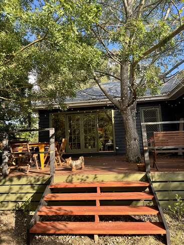 A cozy wooden deck with a small dog, outdoor furniture, and a swing. Surrounded by greenery and trees, sunlight filters through, creating a peaceful, inviting atmosphere.