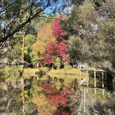 Un estanque sereno refleja los vivos colores otoñales de los árboles —rojos, amarillos y verdes— en medio de una exuberante vegetación. Un puente de madera cruza el agua, evocando tranquilidad y belleza natural.
