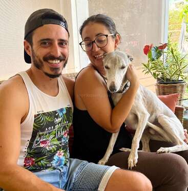 Un hombre y una mujer alegres están sentados muy juntos en un interior, sonriendo con un perro esbelto de color claro en su regazo. Unas macetas decoran el fondo acogedor y luminoso.