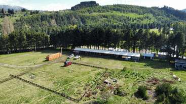 Eine ländliche Landschaft mit grünen Feldern, einer Reihe hoher Bäume, landwirtschaftlichen Gebäuden, geparkten Fahrzeugen, einem Container, eingezäunten Flächen und einer bewaldeten Hügelkulisse.
