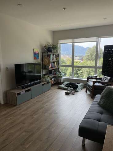 Bright, modern living room with wooden floors, large windows showing mountain views, cozy seating, bookshelf, TV, plants, dog bed, and a black dog relaxing peacefully.