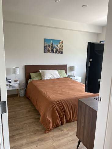 A cozy bedroom with wooden floors, a bed with orange bedding, two nightstands, lamps, a landscape painting, TV, and simple, modern decor.