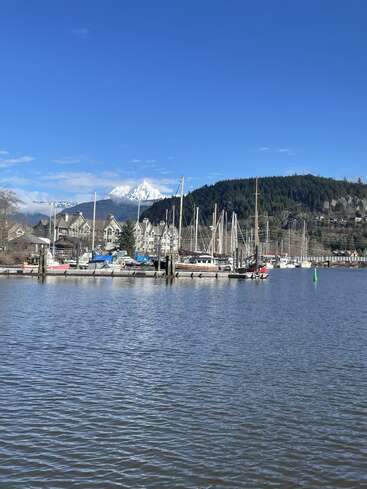 Calm marina with sailboats docked, waterfront houses, and forested hills under a clear blue sky. Snow-capped mountain peak towers beautifully in the distant background.