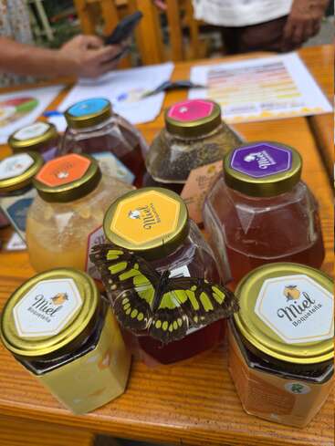 A vibrant green and black butterfly rests gracefully on jars of honey labeled "Miel Boqueteña," displayed on a wooden table, with people in the background.