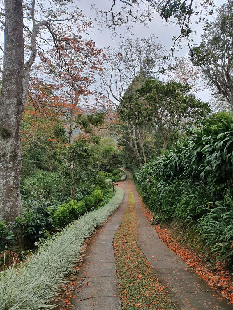 The image depicts a serene garden path winding through lush greenery and trees, with a stone pathway and vibrant orange flowers scattered along the ground.
