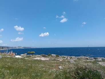 A clear blue sky meets the deep blue sea. Wild grasses, rocks, and a few scattered clouds create a serene coastal landscape under bright sunlight.