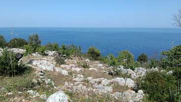 A rocky, grassy foreground overlooks a calm, deep blue sea under a clear sky. Green shrubs and small trees frame the tranquil coastal landscape beautifully.