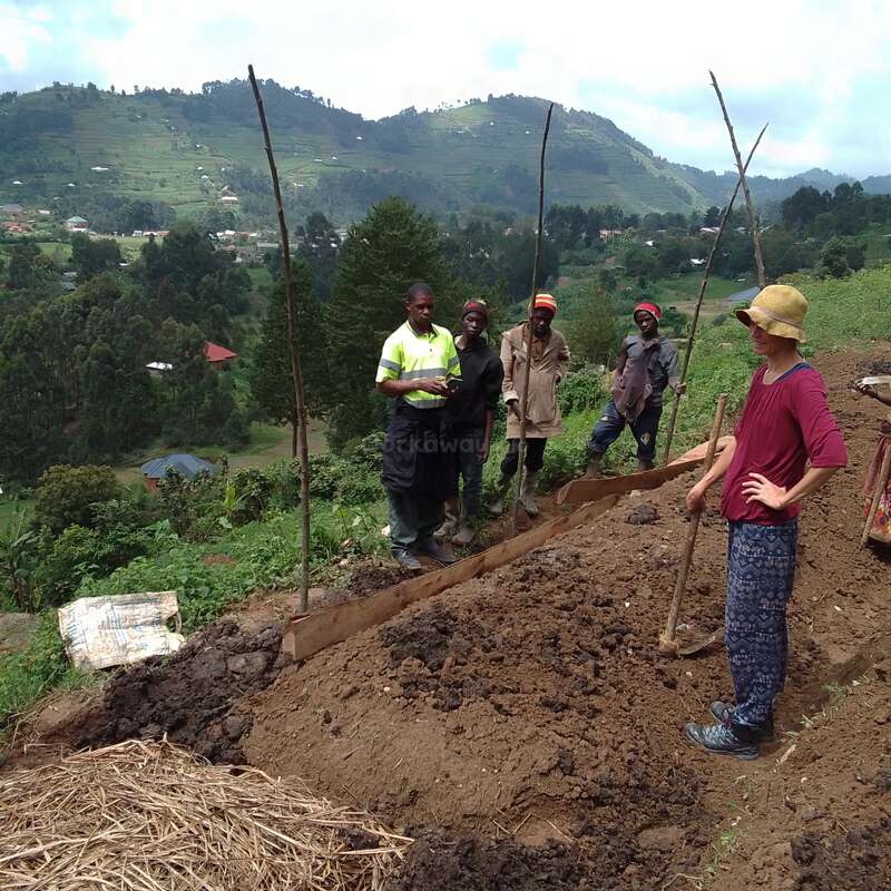 La imagen muestra a un grupo de hombres trabajando en la ladera de una colina, con uno de ellos de pie en primer plano sosteniendo una pala, rodeado de frondosa vegetación y edificios lejanos.
