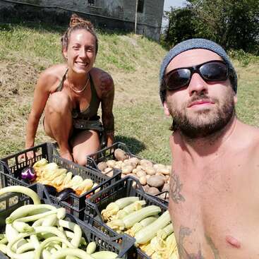 The image depicts a man and woman posing with crates of vegetables in a grassy field, showcasing a sunny outdoor setting with a building in the background.