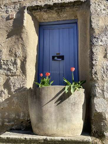 Un mur de pierre rustique est orné d'une porte en bois bleue, partiellement ombragée. Devant, une grande jardinière en béton accueille des tulipes rouges en fleurs, apportant une touche de couleur et de charme.