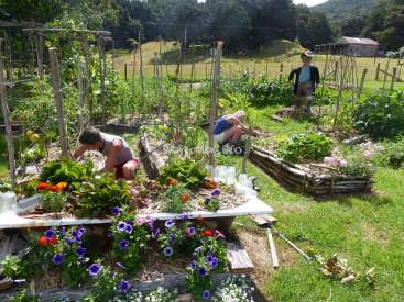 La imagen representa una serena escena de jardín con dos personas cuidando plantas, rodeadas de exuberante vegetación y flores vibrantes, con un espantapájaros al fondo.