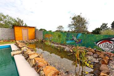Uma piscina natural com um lago, cercada por pedras e plantas. Um mural colorido com animais decora a parede e um galpão de madeira fica próximo a você.