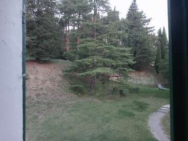 This image shows a grassy backyard viewed through a window, featuring tall pine trees, patio chairs, a sun lounger, and a curving stone pathway. Peaceful atmosphere.