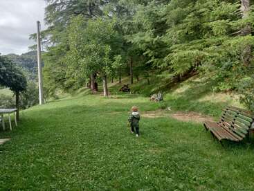 A small child walks on a grassy lawn surrounded by green trees. There is a wooden bench on the right and a table on the left. Peaceful scenery.