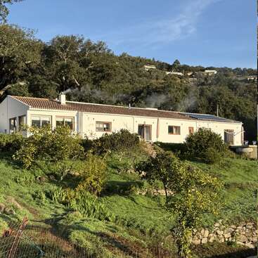 Una casa alargada de una sola planta, con paredes blancas y tejado de tejas, se alza en una ladeira frondosa y verde, rodeada de árboles y vegetación, bajo un cielo azul.