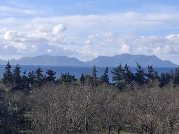 In this serene landscape, leafless trees fill the foreground, dark evergreen pines stand behind, with calm blue sea and distant, hazy mountains beneath a cloudy sky.