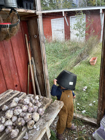 Un enfant vêtu d'une salopette marron se tient debout dans une remise rustique, un seau noir sur la tête. Des têtes d'ail sont posées sur un banc en bois brut à proximité.
