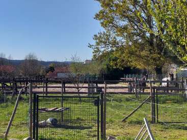 A imagem retrata uma cena rural serena com uma área cercada com um cavalo, árvores e uma casa ao fundo, em um céu azul claro.