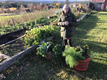 Une femme se tient debout près d'un jardin luxuriant, un outil à la main. Deux paniers débordant de légumes frais sont posés sur l'herbe, au milieu d'un paysage champêtre verdoyant et pittoresque.