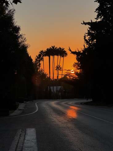 Eine kurvenreiche Straße spiegelt das orangefarbene Licht eines atemberaubenden Sonnenuntergangs wider, umrahmt von hoch aufragenden Palmen und schattenspendendem Laub. Die Szene wirkt ruhig und gelassen.