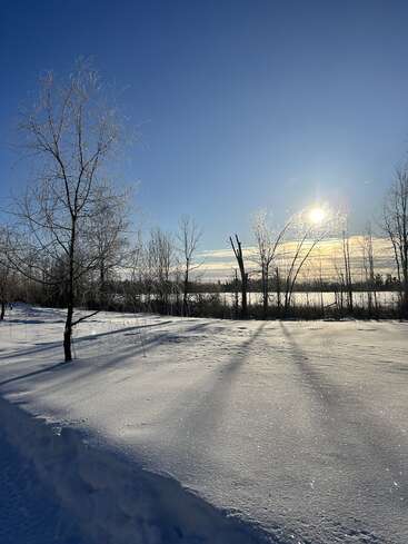 Eine ruhige Winterlandschaft mit kahlen Bäumen, glitzerndem, schneebedecktem Boden, langen Schatten und einer strahlenden Sonne, die an einem klaren blauen Himmel aufgeht und eine friedliche Schönheit schafft.