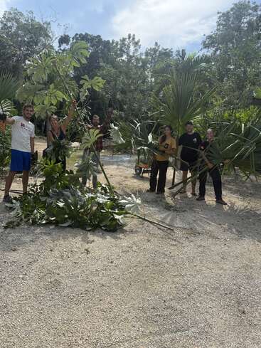Six people are outdoors, smiling and holding large green branches and palm fronds. The setting is natural, surrounded by trees, with sunny, partly cloudy weather.