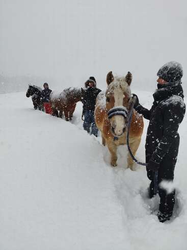Quatro pessoas conduzem cavalos em um terreno profundo e coberto de neve. Uma forte nevasca cobre tudo, com camadas grossas cobrindo o chão, as pessoas e os cavalos, criando uma cena invernal e aventureira.