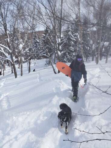 Uma pessoa com equipamento de inverno, carregando uma prancha de snowboard, caminha pela neve profunda em uma floresta nevada ao lado de um cachorro preto. A luz do sol passa por entre as árvores nuas.