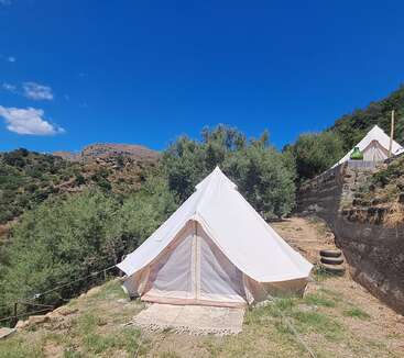 A white canvas tent is set up on a grassy hillside, surrounded by olive trees and stone walls, under a vibrant blue sky with mountains behind.