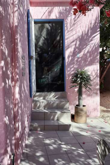 Une entrée ensoleillée avec des murs roses, des marches carrelées et un encadrement de porte bleu. Les ombres des feuilles, un cactus en pot et des pétales de fleurs éparpillés créent une scène paisible.