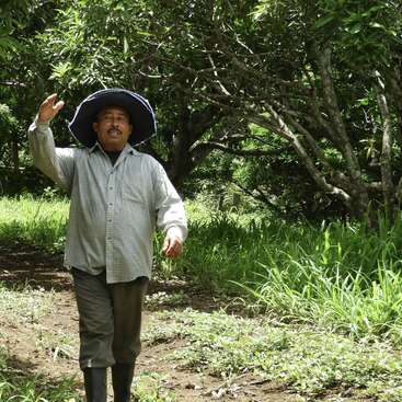 Un homme portant un chapeau à larges bords et des bottes traverse un verger verdoyant, où la lumière du soleil filtre à travers les arbres, en levant la main en signe de bienvenue.