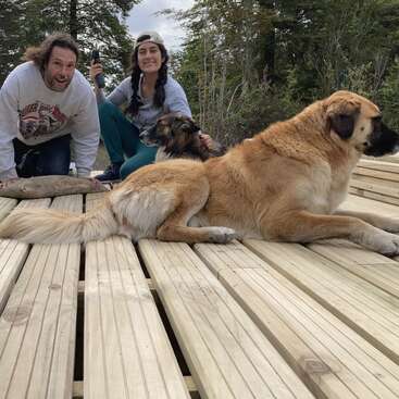 A man and woman sit on wooden boards outdoors, smiling with two large dogs. Trees surround them, and the scene feels casual, friendly, and natural.