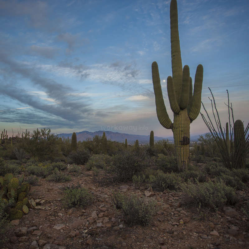 Learn to build a sustainable, offthegrid, earthbag home in Tucson, Arizona, USA