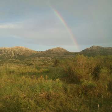 L'image représente un paysage serein avec un arc-en-ciel vibrant au-dessus d'un champ d'herbe luxuriante, avec des collines ondulantes et un ciel nuageux à l'arrière-plan.