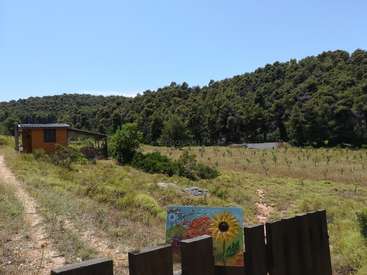 L'image représente un paysage rural serein avec une petite cabane en bois, une peinture vibrante d'un tournesol et un champ luxuriant avec des arbres en arrière-plan sous un ciel bleu clair.