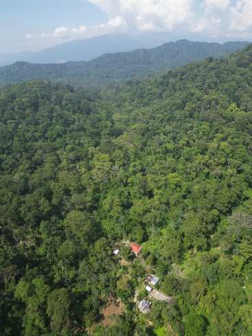 Uma floresta verdejante se estende por colinas e montanhas onduladas. Algumas casinhas com telhados vermelhos e de metal se aninham entre árvores densas, sob um céu parcialmente nublado.