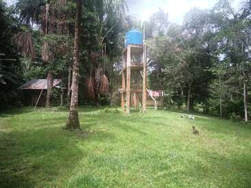 Un réservoir d'eau bleu trône sur une structure en bois dans un jardin verdoyant et herbeux, entouré d'arbres. Des chiens se promènent près des maisons en bois à l'arrière-plan.