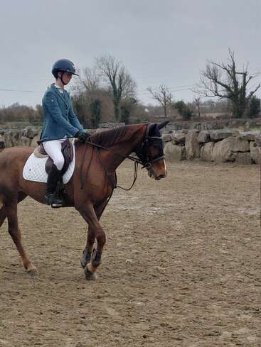 Une personne portant un casque d'équitation et une veste bleue monte un cheval brun dans un manège en plein air, entouré de murs de pierre et d'arbres dépouillés, par une journée nuageuse.