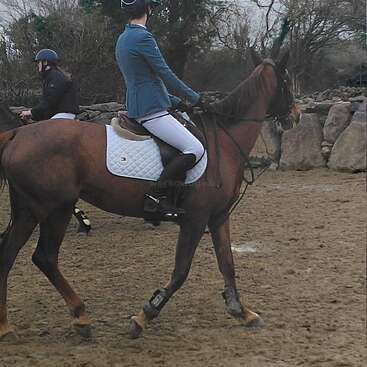 Deux cavaliers, vêtus d'une tenue d'équitation et coiffés d'un casque, montent leurs chevaux dans un manège extérieur en sable, entouré de murs de pierre et d'arbres dénudés, et s'entraînent au dressage.