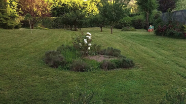 Um gramado bem cuidado com um canteiro de flores circular com flores brancas é cercado por árvores, arbustos e uma estrutura de recreação infantil ao fundo. Ambiente tranquilo.